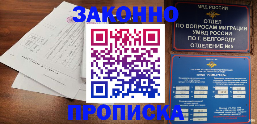 прописка в Новом Осколе